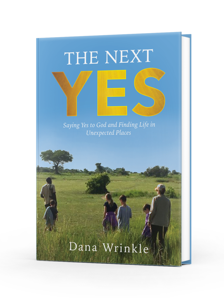 Dana Wrinkle: The Next Yes, New Release